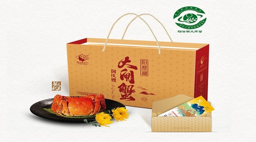 在幼儿园培育优秀立异人才？大湾区首个联合教研体在珠海树立